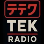 Tek Radio revient sur le DAB+ &Atilde;&nbsp; Paris avec un virage musical radical