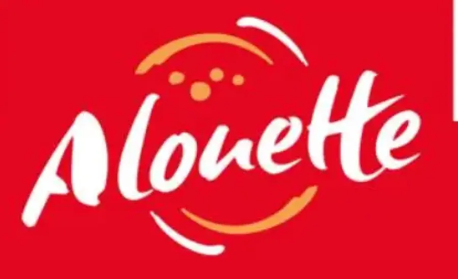 Alouette ouvre des ateliers de journalisme pour les élèves